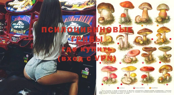 СК Дмитриев