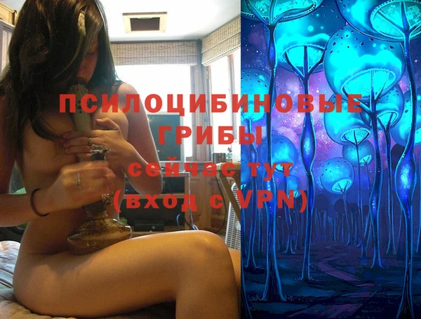 дживик Дмитровск