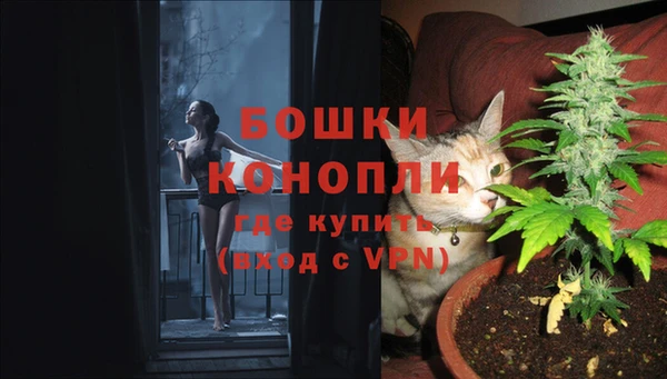 дживик Дмитровск