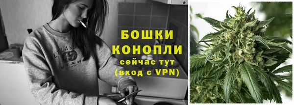 СК Дмитриев