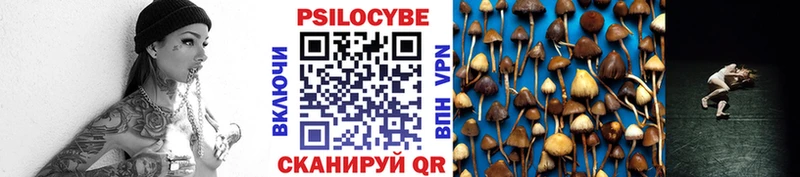 Галлюциногенные грибы GOLDEN TEACHER  Купить  Ишимбай 